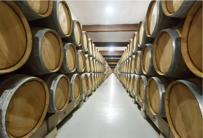 Bodegas